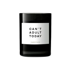 No. 1 Candle, Can't adult today