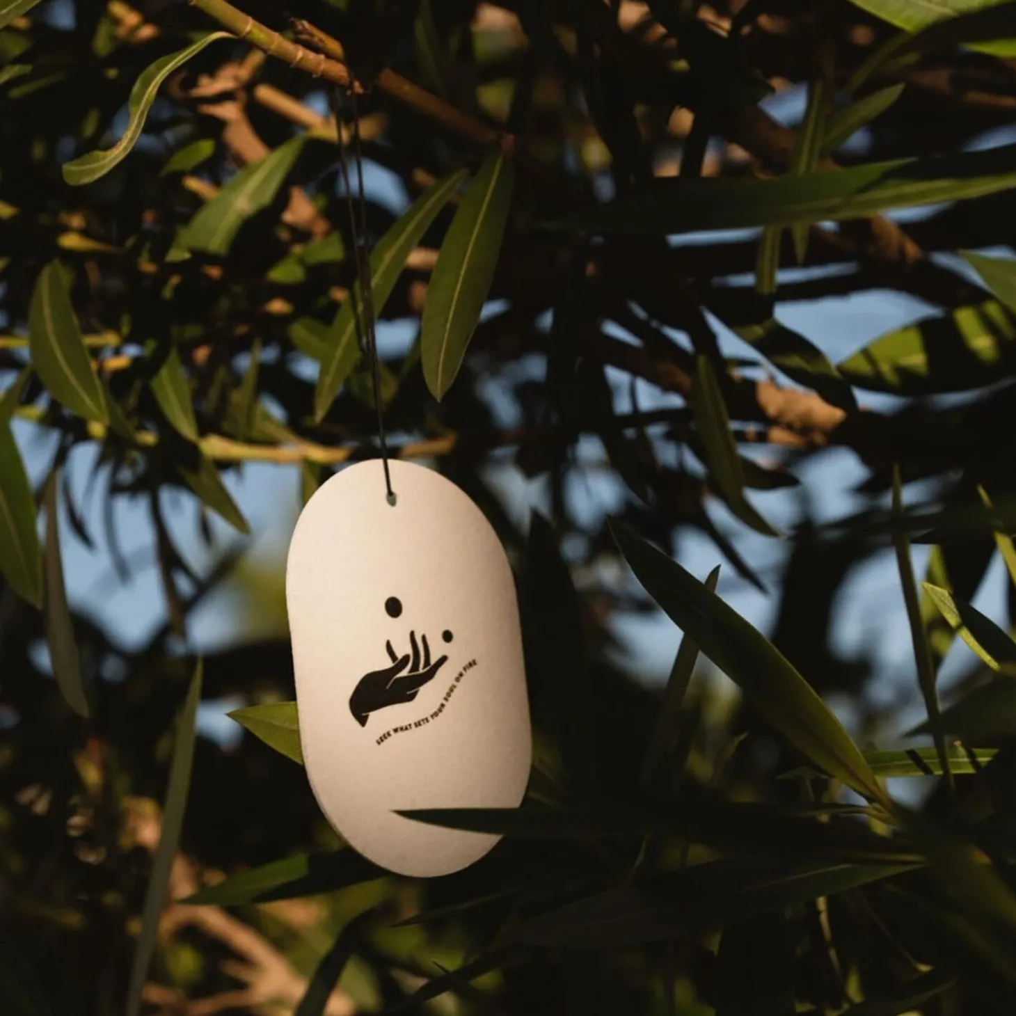 No. 6 Scented Car/Room Tag, Galbanum/Sandalwood