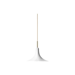 Petalii 1 Pendant, polished brass