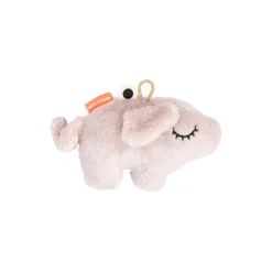 Pigee rangle, powder