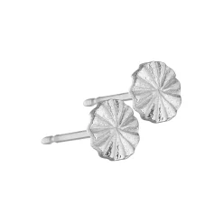 Øreringe, sølvbelagt