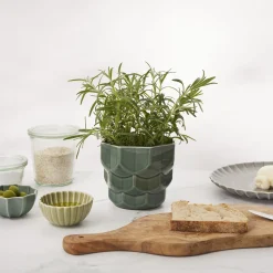 Samsurium blomsterkrukke, spruce