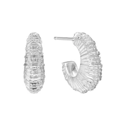 Seashell Secrets øreringe, sølv