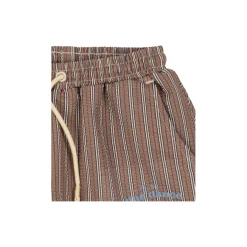 Seer Asnou Swimshort, tigers eye