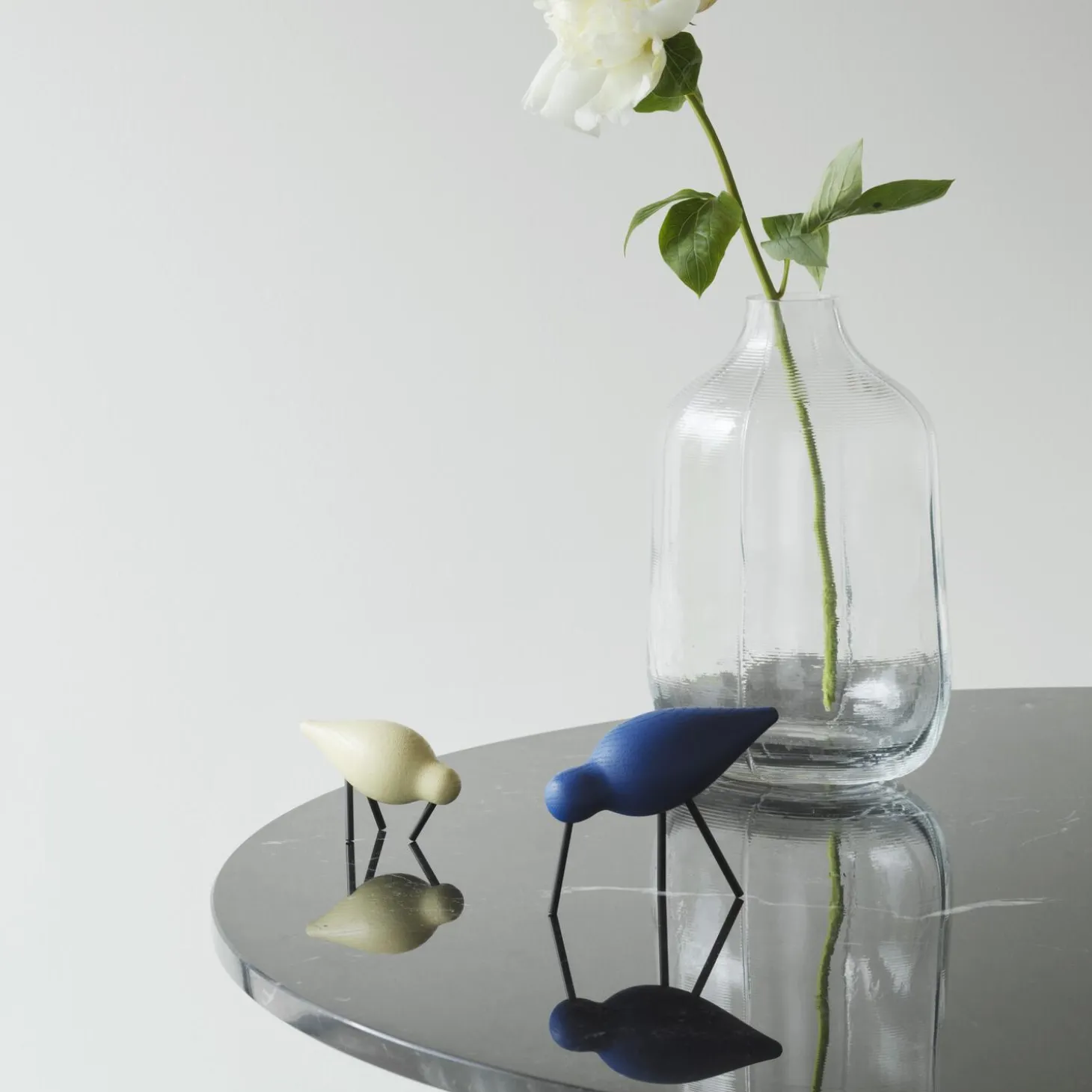 Shorebird, light yellow