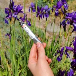 Solid parfume - Orris root No. 29