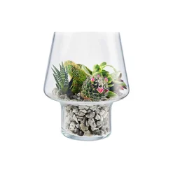 Sukkulent vase