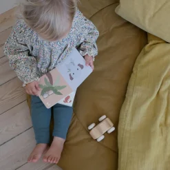 Tællebog, multi colour