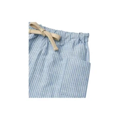 Trousers Arne, 1048 blue stripe