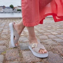 Tulip Criss Cross, atmosphere white