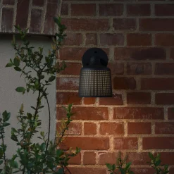 VIPP551 udendørs vægspot, sort