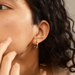ZION Organic Shaped Hoops Medium, gold plated